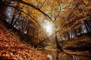 Фото Курортные отели Osrodek Wczasowy Wierzchy г. Wierzchy 1